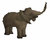 !!! Baby Elephant