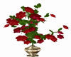 roses animated  vase