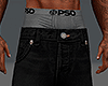 Y2K Baggy R. star