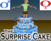 Surprise Cake -v1