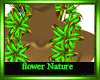 furry flowernature