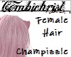 Champizzle Hair [F]