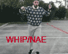 (+_+)M WHIP/NAE DANCE