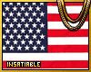 American Flag Pocket Ban