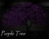 AV Purple Tree