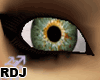 [RDJ] Eye F21
