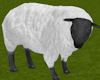 TF* Animated Sheep