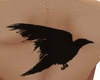 crow back tattoo