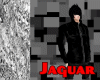 *Jaguar Jack*