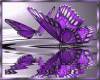 BuTTeRFLieS -purple-
