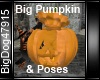 [BD]BigPumpkin&Poses