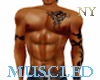 NY| Muscled Sexy Man
