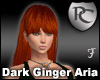 Dark Ginger Aria