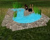 Animated Pond