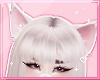ℓ fluffy cat ears 3