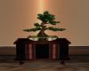[BB] Bonsai Table
