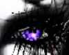 purple spider eyes F
