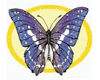purpleButterfly