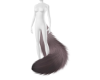 Grey Fox Tail