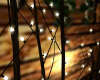 H. Tree Branch lights