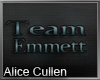![A.C] Team Emmett