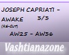 V-J.CAPRIATI-AWAKE 3/3