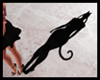 *V* SHADOW CAT DERIVABLE