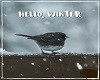 Hello, Winter