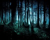 Magic Forest Background
