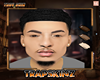 Troy asteri head