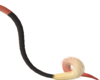 Tarry tail v1