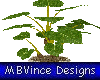 [MB] Philodendron