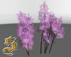 1620   Pink Trees