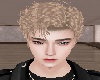 Aries Blonde