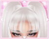 ❀. elara | yuki