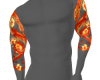â¢ Dragons Sunfire