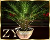 ZY: Plant with Light