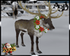 A3D*Xmas Reindeer Wreath