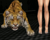 Animated Tiger