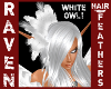 WHITE OWL HAIR FEATHERS!