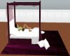 (R)wine color canopy bed