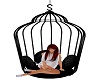 Cuddle Cage 