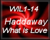Haddaway - What is Love