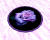 MM Purple rose rug