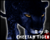 ! Dark Blue Cheetah Anim