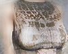 digital ruins