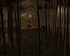 Ancient forest
