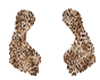 footprint st sp leopard