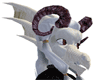 White Dragon Head