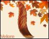 Maple | Tail